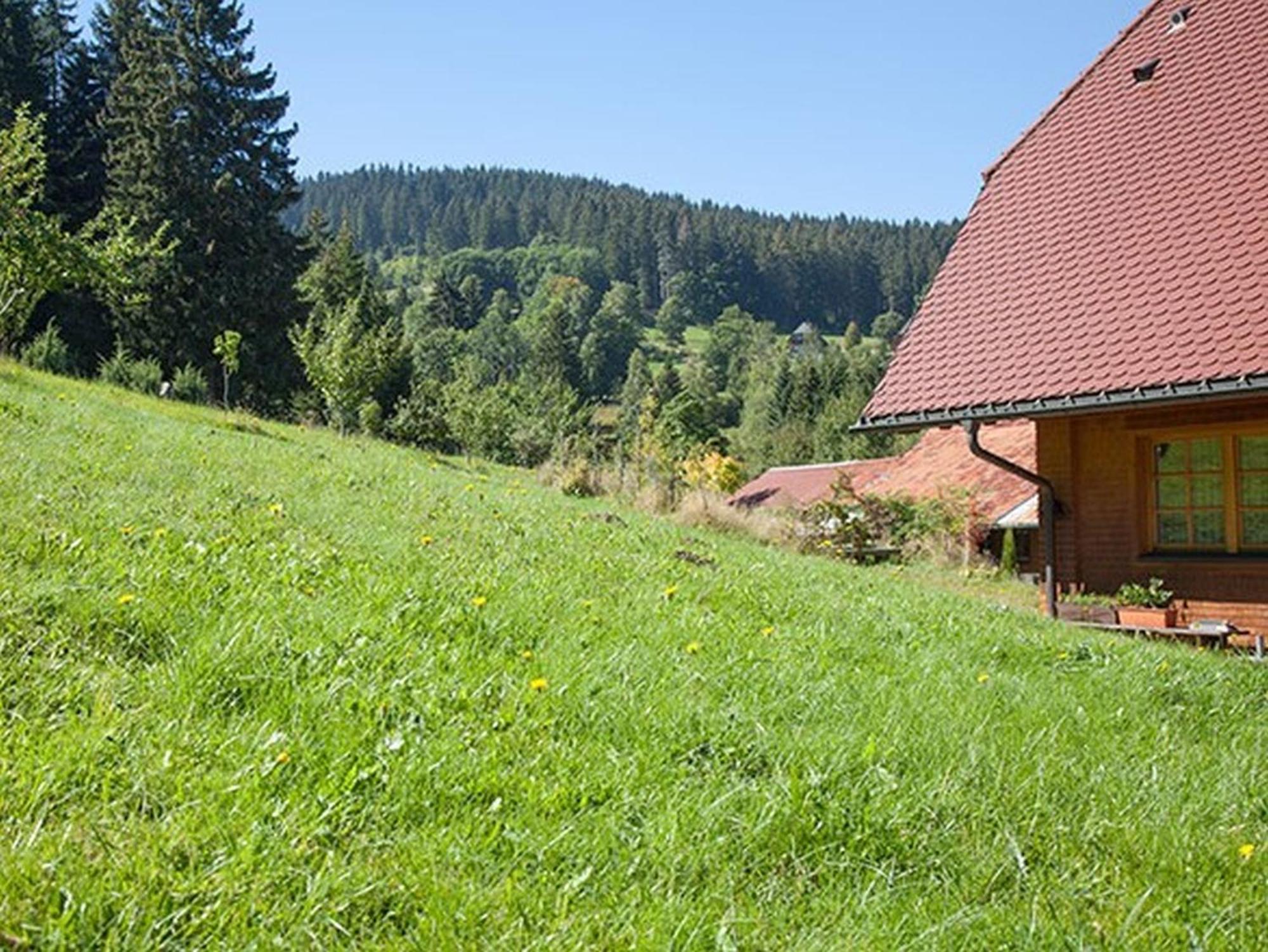 Ferienhaus Esche 힌터짤텐 외부 사진