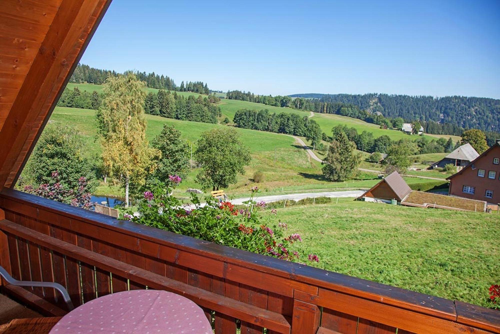 Ferienhaus Esche 힌터짤텐 외부 사진