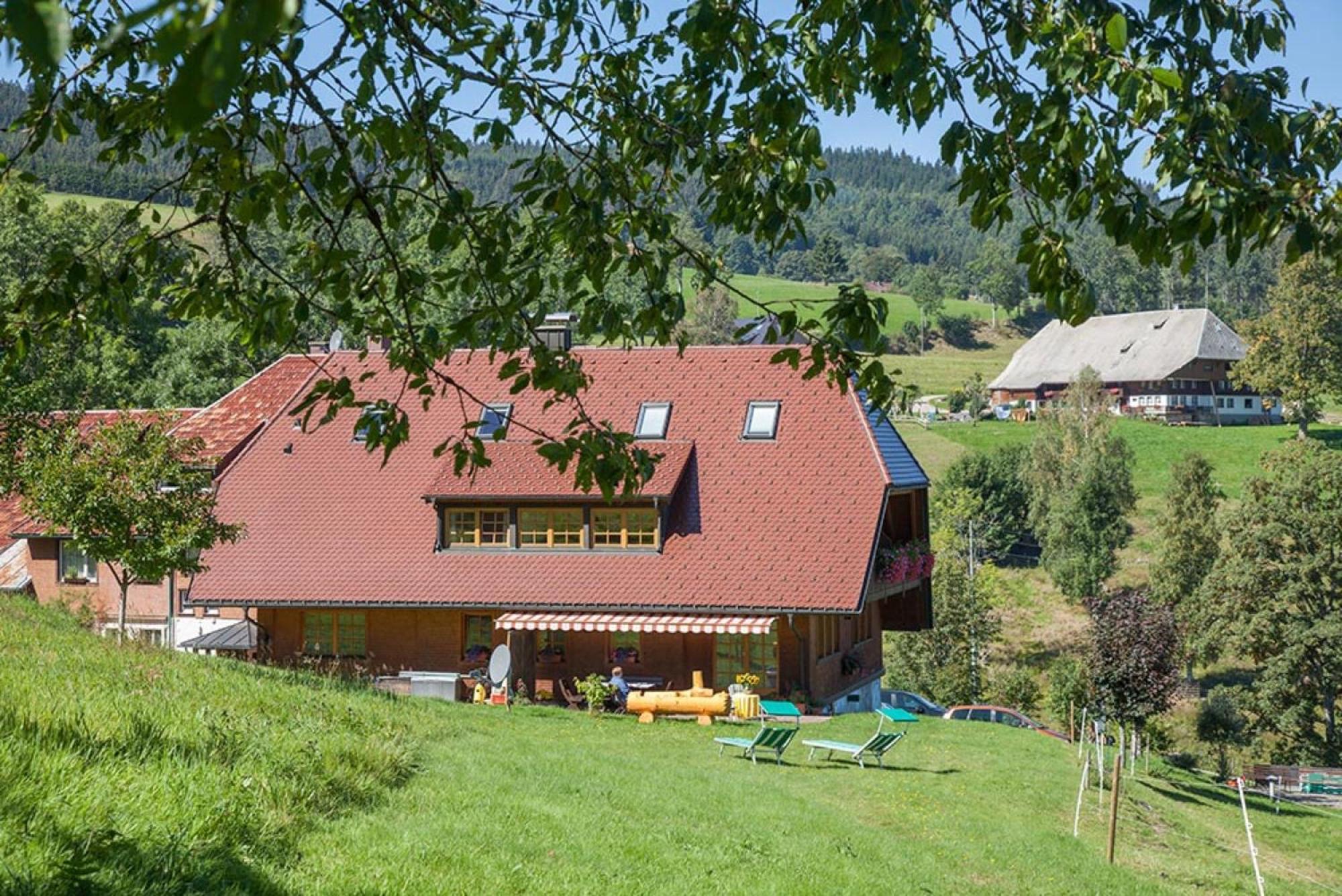 Ferienhaus Esche 힌터짤텐 외부 사진