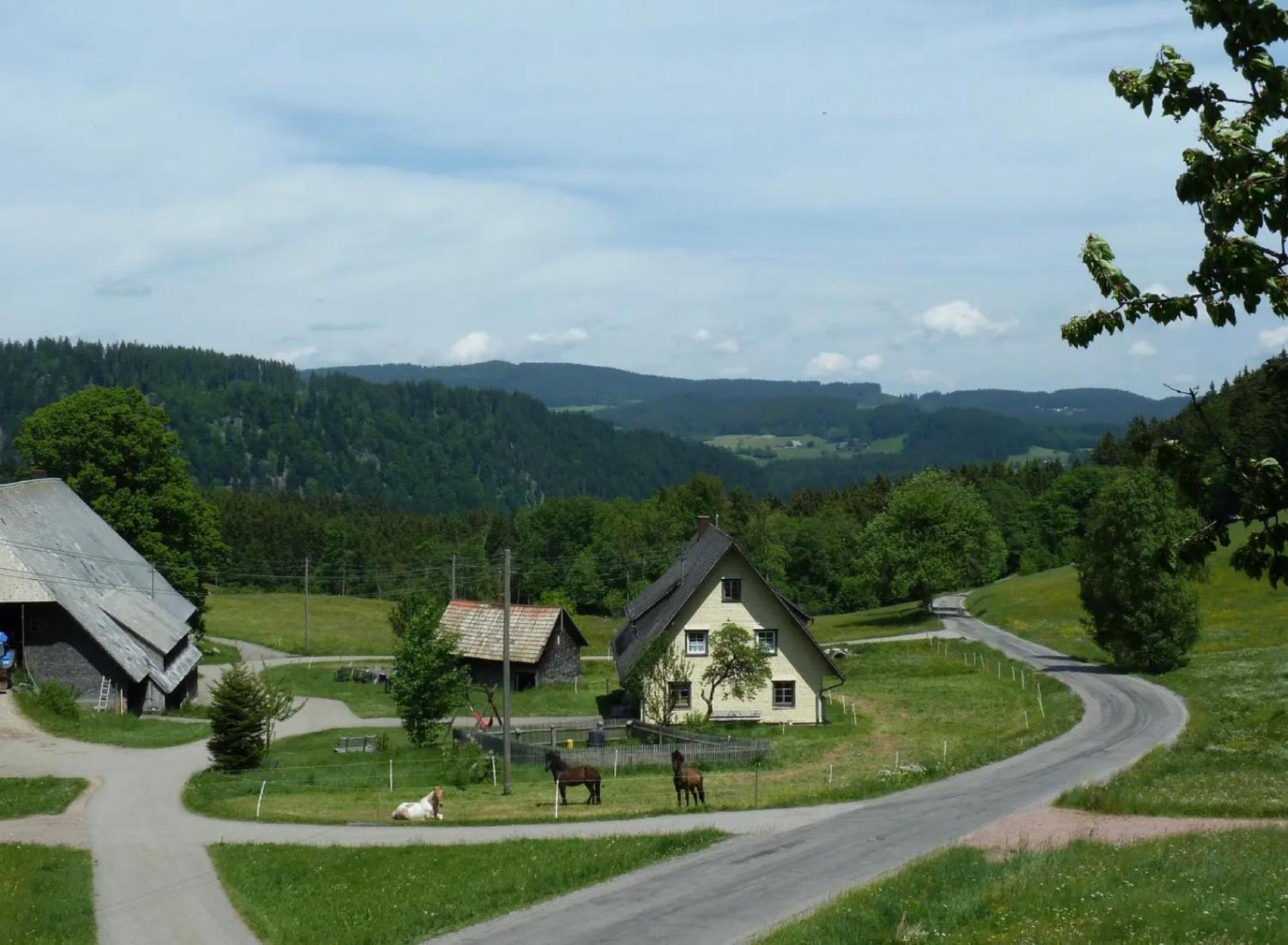 Ferienhaus Esche 힌터짤텐 외부 사진